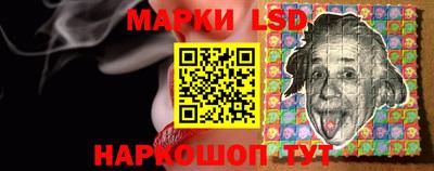 индика Гай
