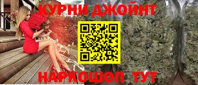 индика Гай