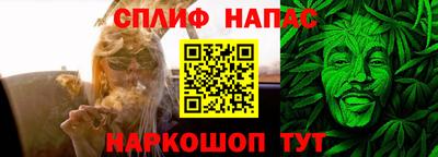 индика Гай