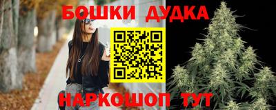 индика Гай