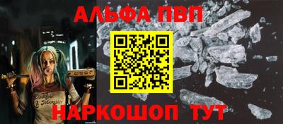 индика Гай