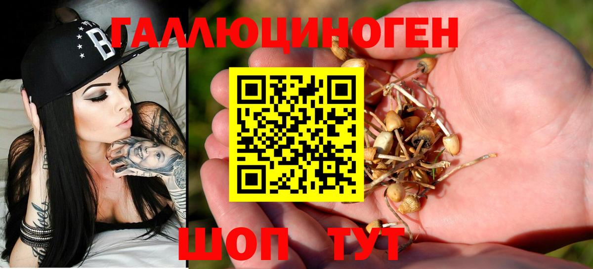 Галлюциногенные грибы MAGIC MUSHROOMS Моздок