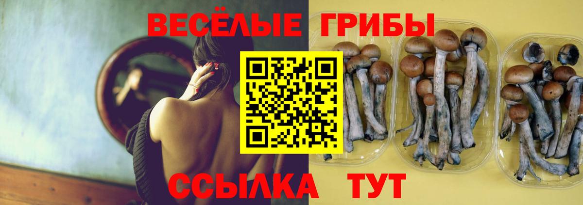 Галлюциногенные грибы Magic Shrooms  Псилоцибиновые грибы MAGIC MUSHROOMS  Вход с VPN  Моздок 